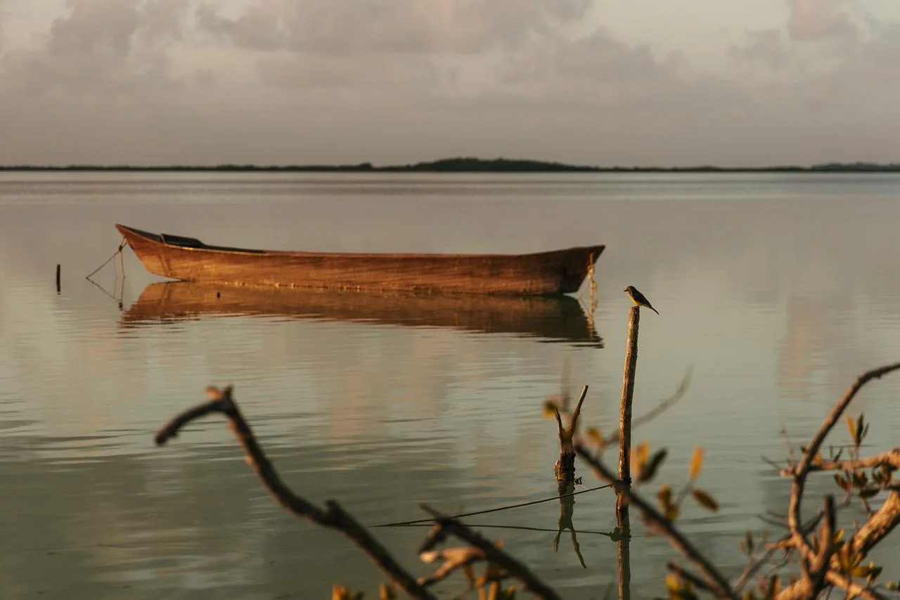 Canoeing the lagoon at dusk