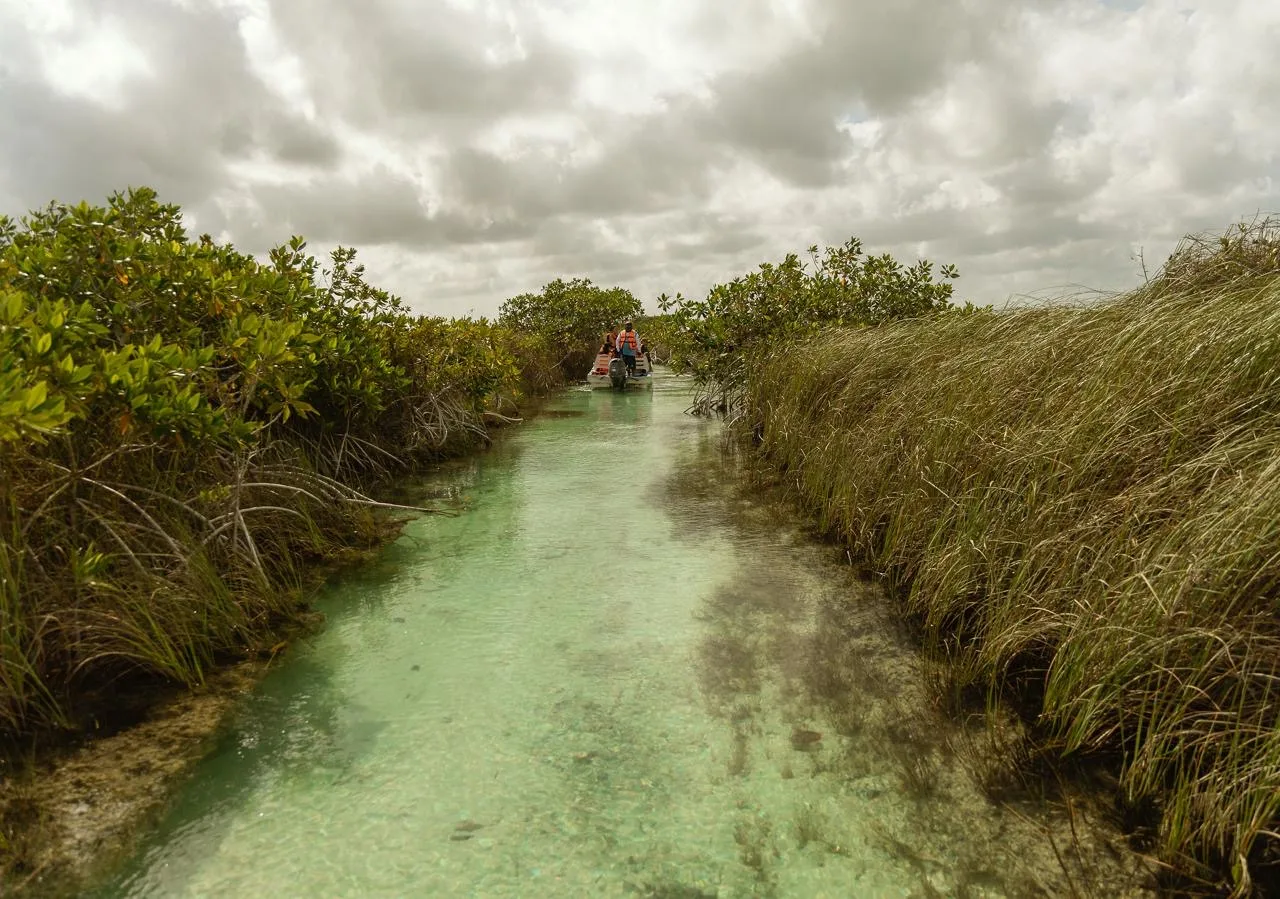 Boat gliding through the Neek floating river channel, Muyil — Sian Ka'an biosphere, Tulum